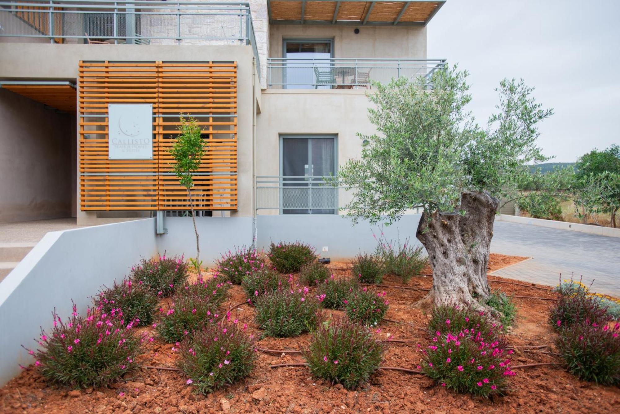 Callisto Seaside Homes & Suites Marathópoli Kültér fotó